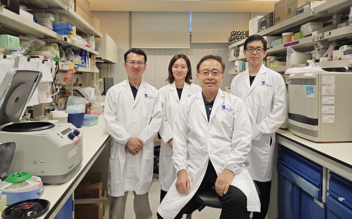 A*STAR Genome Institute of Singapore (A*STAR GIS) (@astar_gis) on Twitter photo 🌟🌟Exciting Breakthrough in Cancer Immunotherapy!🧬💪🔬
Scientists from A*STAR Genome Institute of Singapore (<a href="/astar_gis/">A*STAR Genome Institute of Singapore (A*STAR GIS)</a>) have uncovered that a key enzyme – P4HA1 prolyl hydroxylase, is strongly induced in CD8+ T cells in solid cancer, the primary immune cells involved in 🌟🌟Exciting Breakthrough in Cancer Immunotherapy!🧬💪🔬
Scientists from A*STAR Genome Institute of Singapore (<a href="/astar_gis/">A*STAR Genome Institute of Singapore (A*STAR GIS)</a>) have uncovered that a key enzyme – P4HA1 prolyl hydroxylase, is strongly induced in CD8+ T cells in solid cancer, the primary immune cells involved in