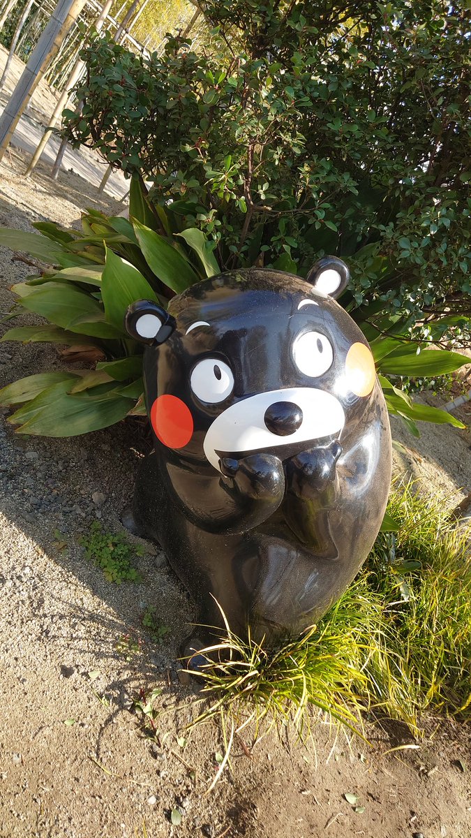 atokiikota's tweet photo. くまもんパーク八代
本当、くまもんだらけ笑
あんまり興味無かったんですが、くまもんって可愛いてすね🐻
よく見ると表情も豊かです https://t.co/gSVkXmWclI