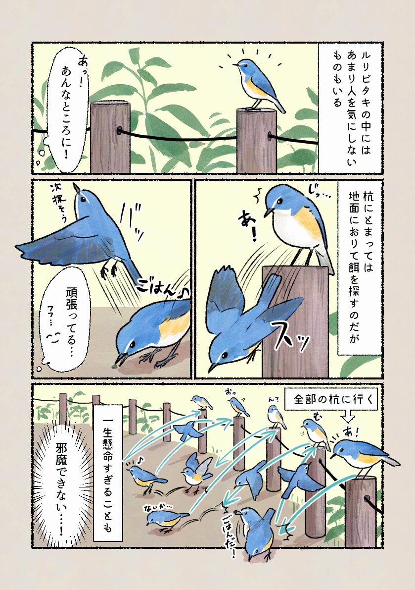 「一生懸命すぎて…」
人目も憚らず餌探しをしていることも。 