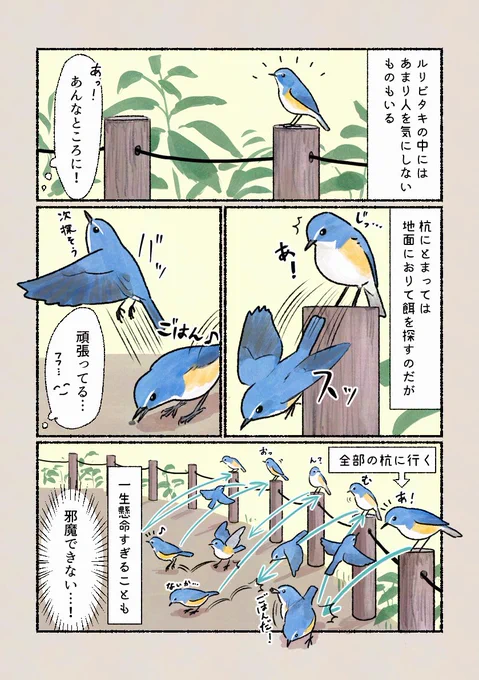 「一生懸命すぎて…」
人目も憚らず餌探しをしていることも。 
