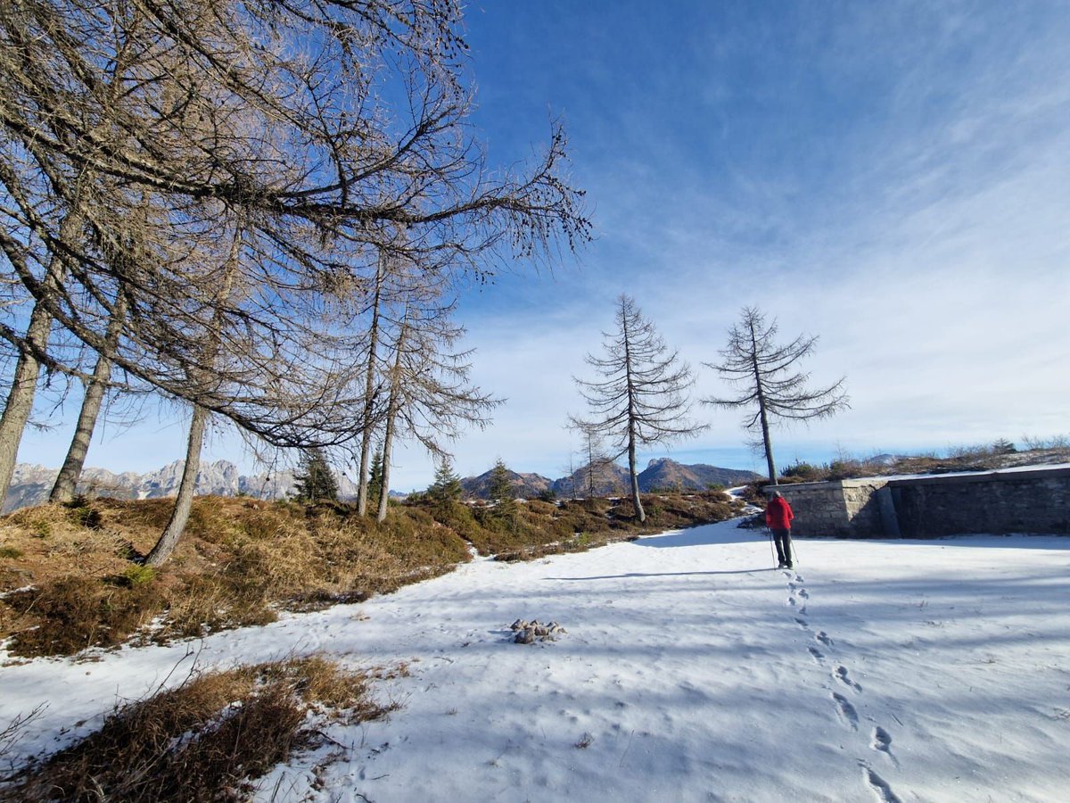 parcoDF's tweet photo. A piedi al ricovero Miaron.
Ph. Marco Kulot
#montagnachepassione #apiedi #escursioni https://t.co/jpsFh8OpDa