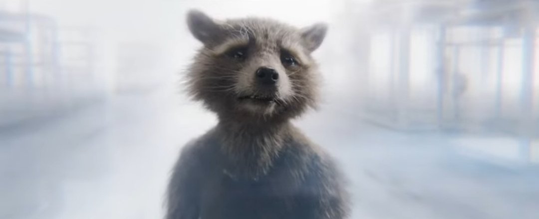 CaptainRocketR's tweet image. "We were right. The sky is beautiful and it is forever. And I've been flying with our friends"
-
#GuardiansOfTheGalaxyVol3