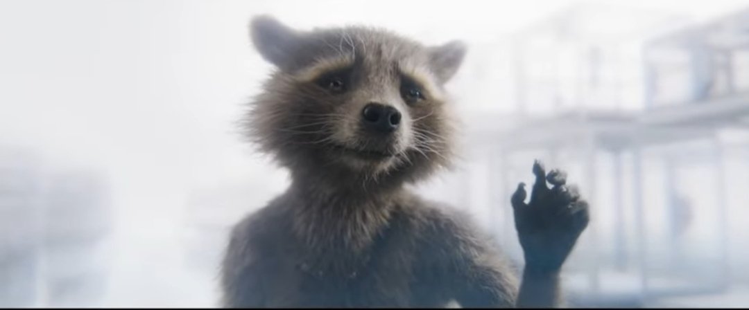 CaptainRocketR's tweet image. "We were right. The sky is beautiful and it is forever. And I've been flying with our friends"
-
#GuardiansOfTheGalaxyVol3