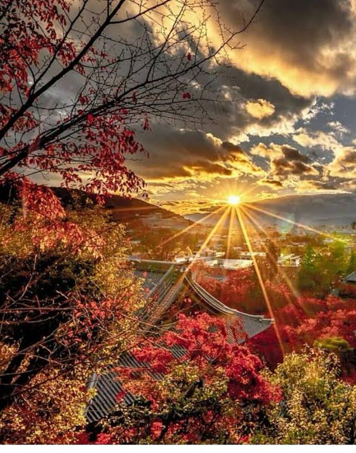 Good Afternoon 

#VivianDsena #StreamForHumanity #SaifAliKhan #PradaFW25 #PRADAFW25xWin #Trump