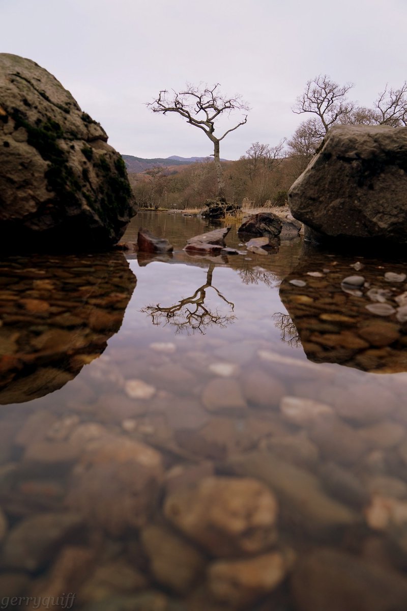 gerryq65's tweet photo. @A_ZofWonderment Share your natural frame photographs today.🖼️📷
#NaturalFrame https://t.co/Y7vu5ZpUAN