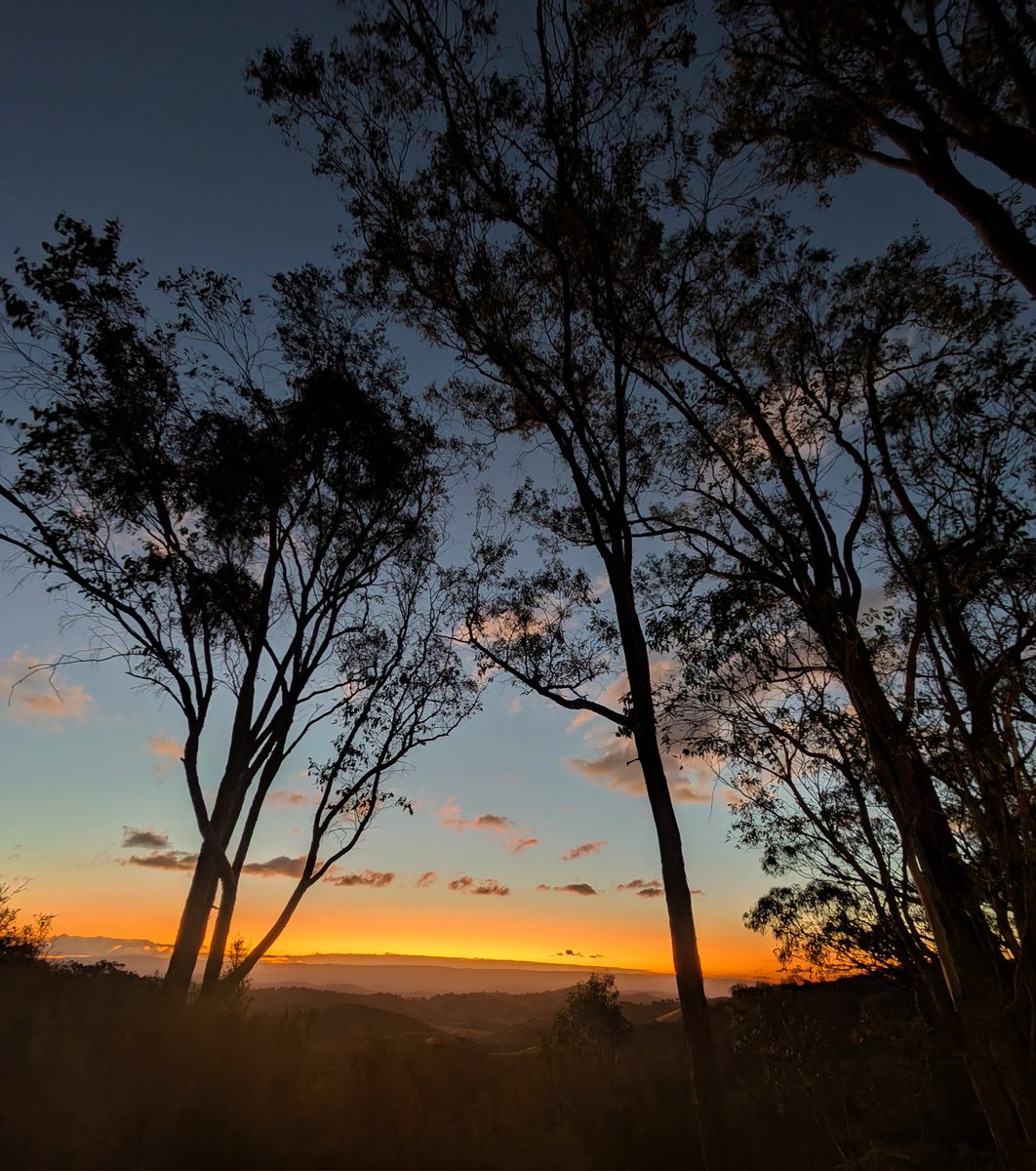 Fern Hames (@fernhames) on Twitter photo After 4,921 days on this site, I'm archiving and out of here. Happy to continue real conversations <a href="/fernhames/">Fern Hames</a>.bsky.social. Take care everyone. Listen to the science. Spend more time in nature. #eXit After 4,921 days on this site, I'm archiving and out of here. Happy to continue real conversations <a href="/fernhames/">Fern Hames</a>.bsky.social. Take care everyone. Listen to the science. Spend more time in nature. #eXit