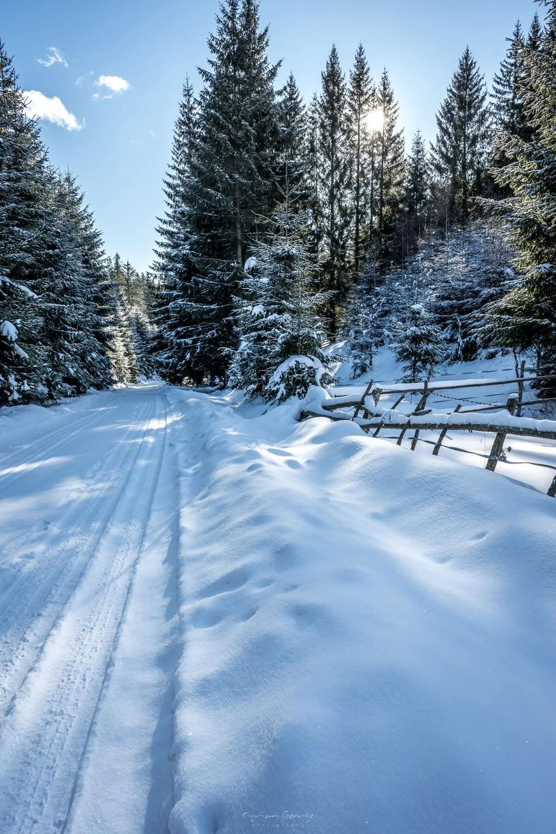 Travel_2Romania's tweet photo. Zăpezile de la Fundata #Brașov ❄️🐾✨
©️ George Ciprian 
#TraveltoRomânia https://t.co/NEloH2dVF4