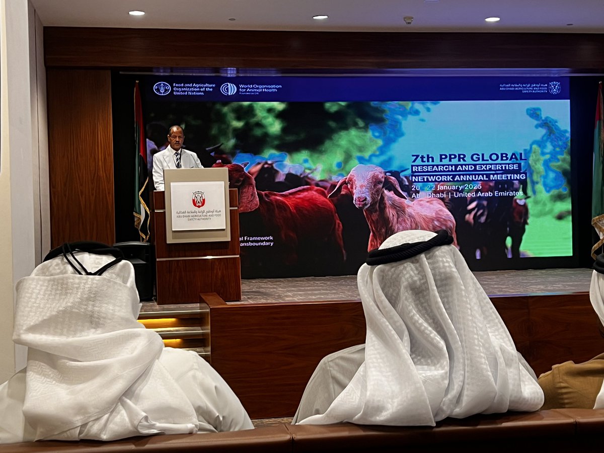 pkotchofa's tweet image. Happening now: 7th Peste des Petits Ruminants #PPRGREN Annual Meeting in #AbuDhabi hosted by the Abu Dhabi Agriculture and Food Safety Authority #ADAFSA