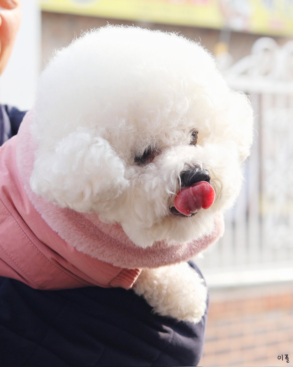 꽃분아 사랑해❤️❤️❤️❤️❤️
#서성혁 #SUNGHYUK #서꽃분