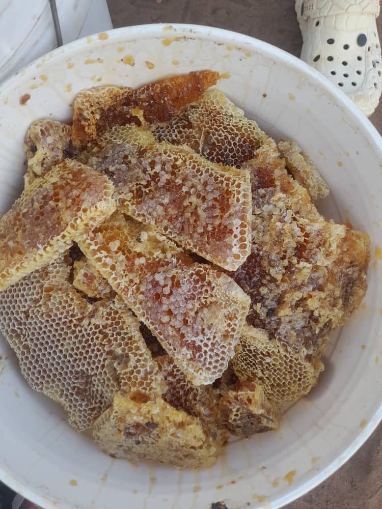 RonaldBees2021's tweet photo. @SpireJim I do value addition to all bee products like Honey to Honey wine, beeswax to candles, soap, jelly among others 
I do consultancy in Beekeeping 
And  am flexible to travel anywhere in this country but based in Kiboga and Makerere University 
Find me on 0773624934 https://t.co/4UAepZy0VI
