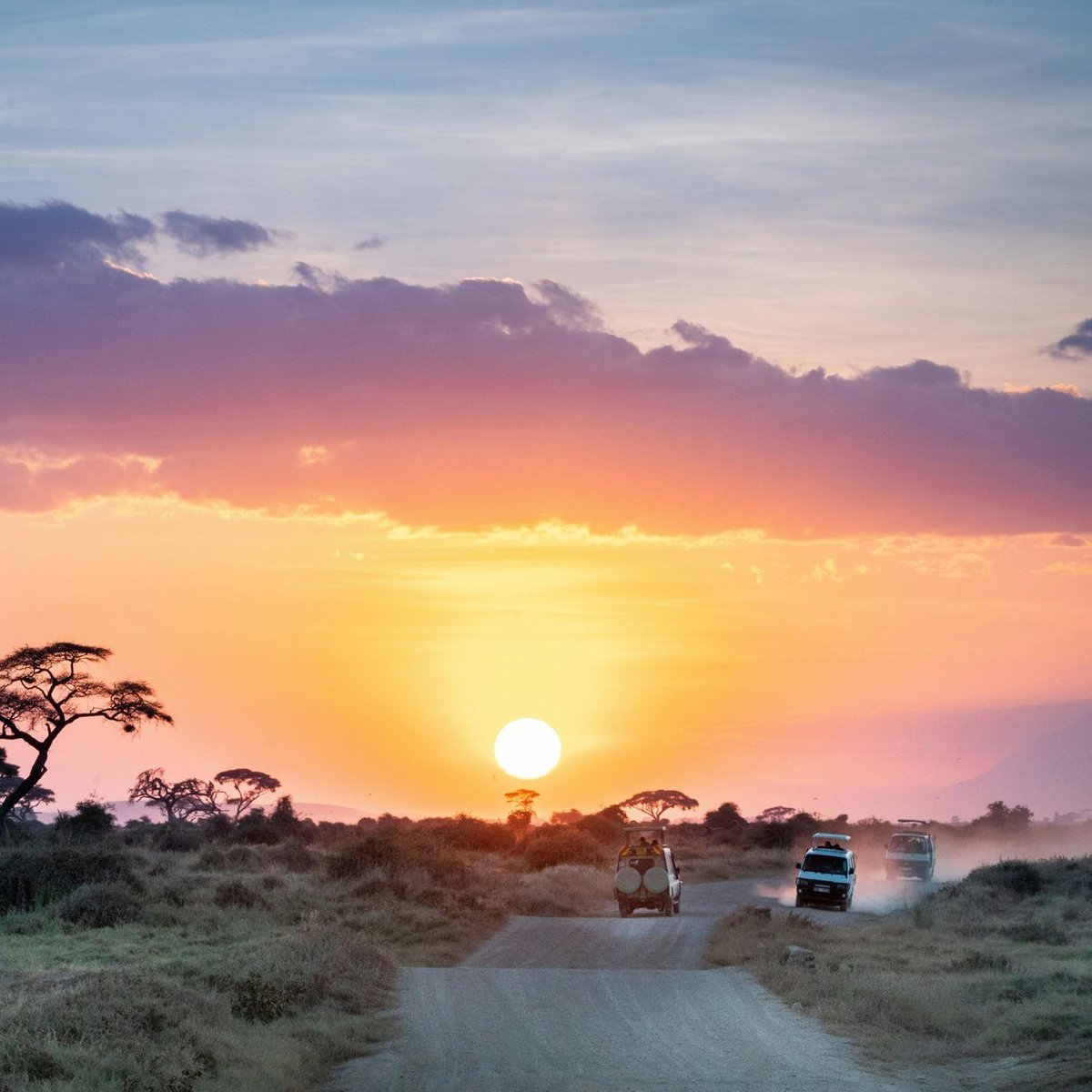 UsahihiNME's tweet image. Usahihi&apos;s focus on infrastructure boosts eco-tourism and sustainable growth, blending green tech, better transport, and responsible tourism to protect our natural heritage.

#SustainableDevelopment #EcoTourism #InfrastructureForGrowth #UsahihiNME