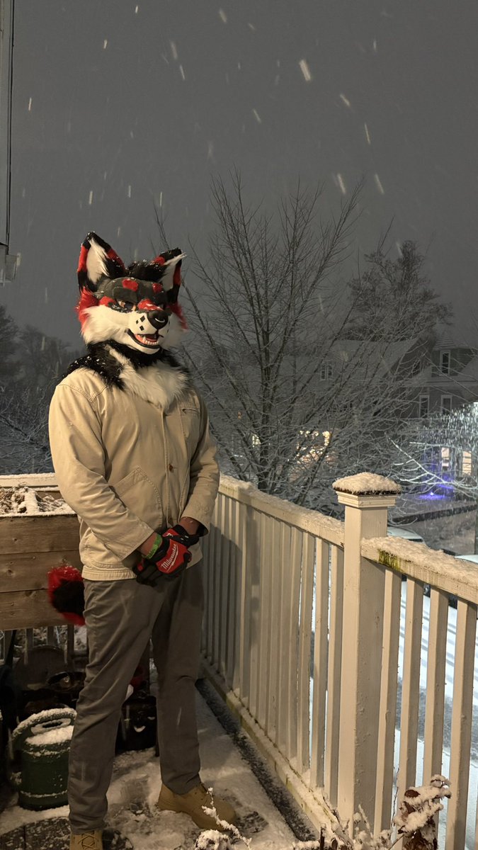 Kerberuss tweet media