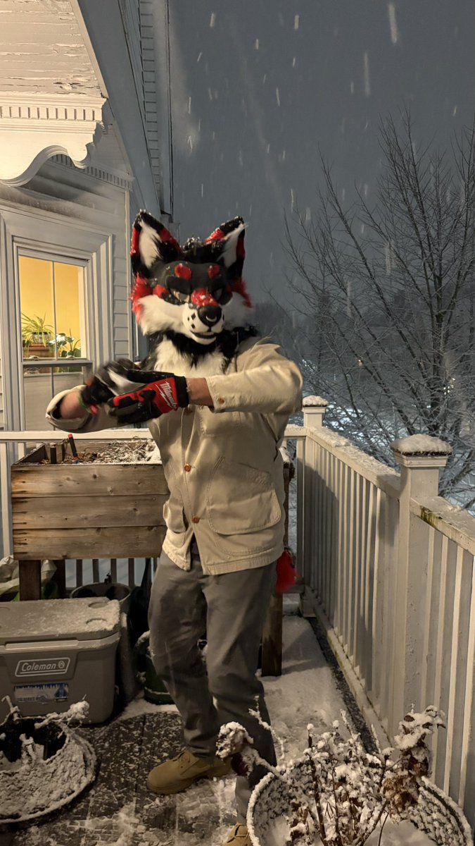 Kerberuss tweet media