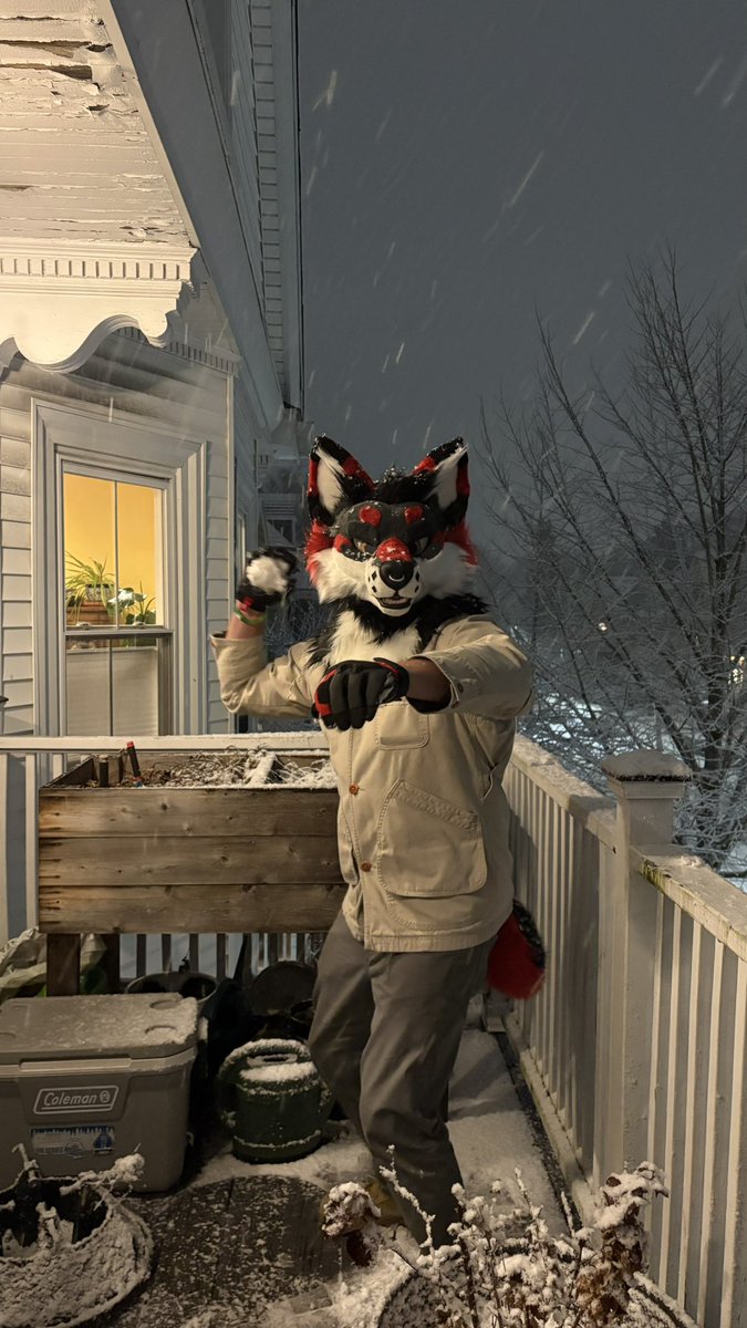 Boston has my heart, flight got canceled! But now I get to see some snow! ❄️ 🐺 
#ANE #anthronewengland #ANE2025