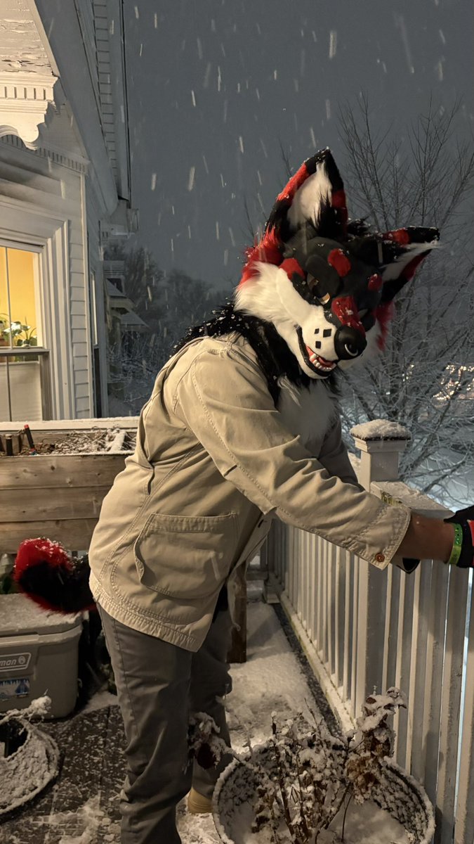 Kerberuss tweet media