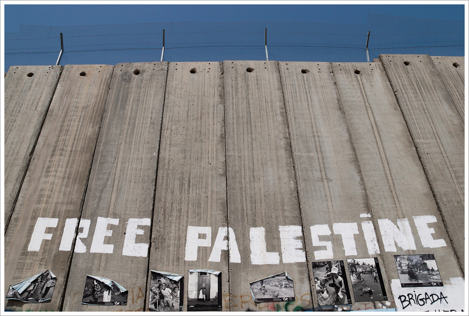 Check out Aiman Taieboune's poem for our rolling deadline issue on Free Palestine! feralfeminisms.com/an-open-letter…
We are still accepting submissions if you would like to contribute!
