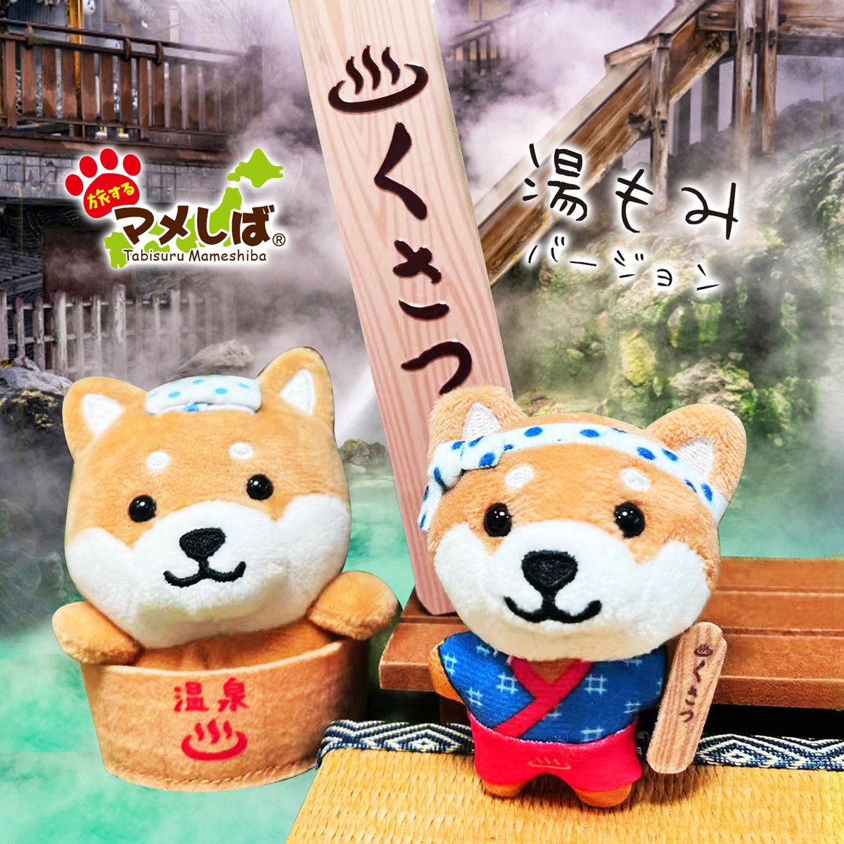 ♨️草津温泉 湯もみバージョン♨️ マメしばが、ついに… 立った