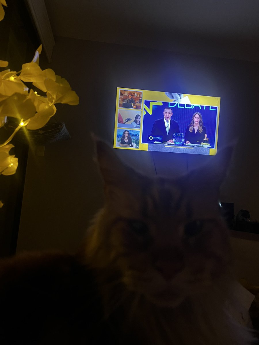PolinaKerman's tweet photo. When you’ve turned off cable tv, @LaPosta_Ecu is here to help with the live of the debate 👍
#EcuadorDebate #DebatePresidencial #ElDebateEnLaPosta https://t.co/DYzZyfhjxf