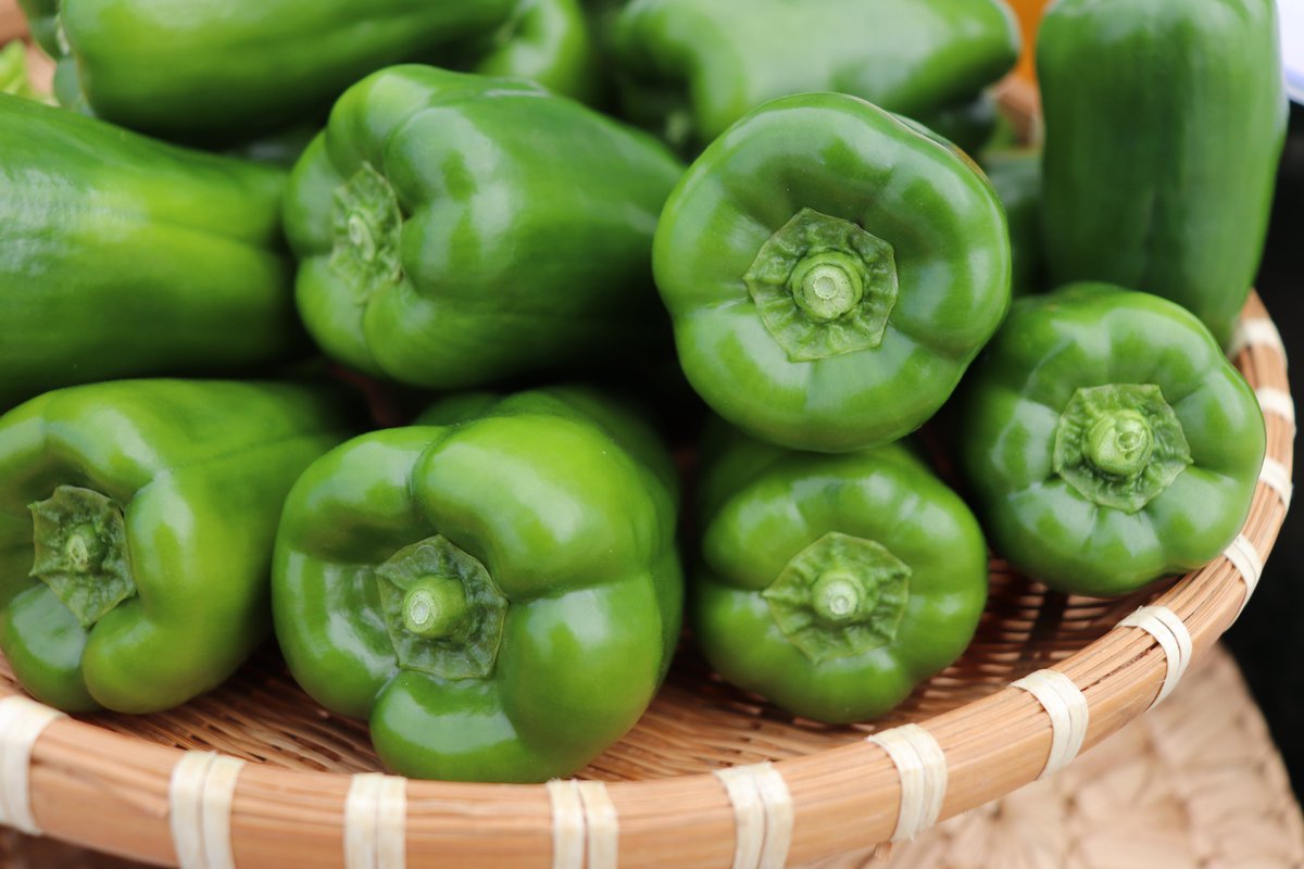 明日放送のMOGUMOGUファームは「ピーマン」！ 東串良町特産の