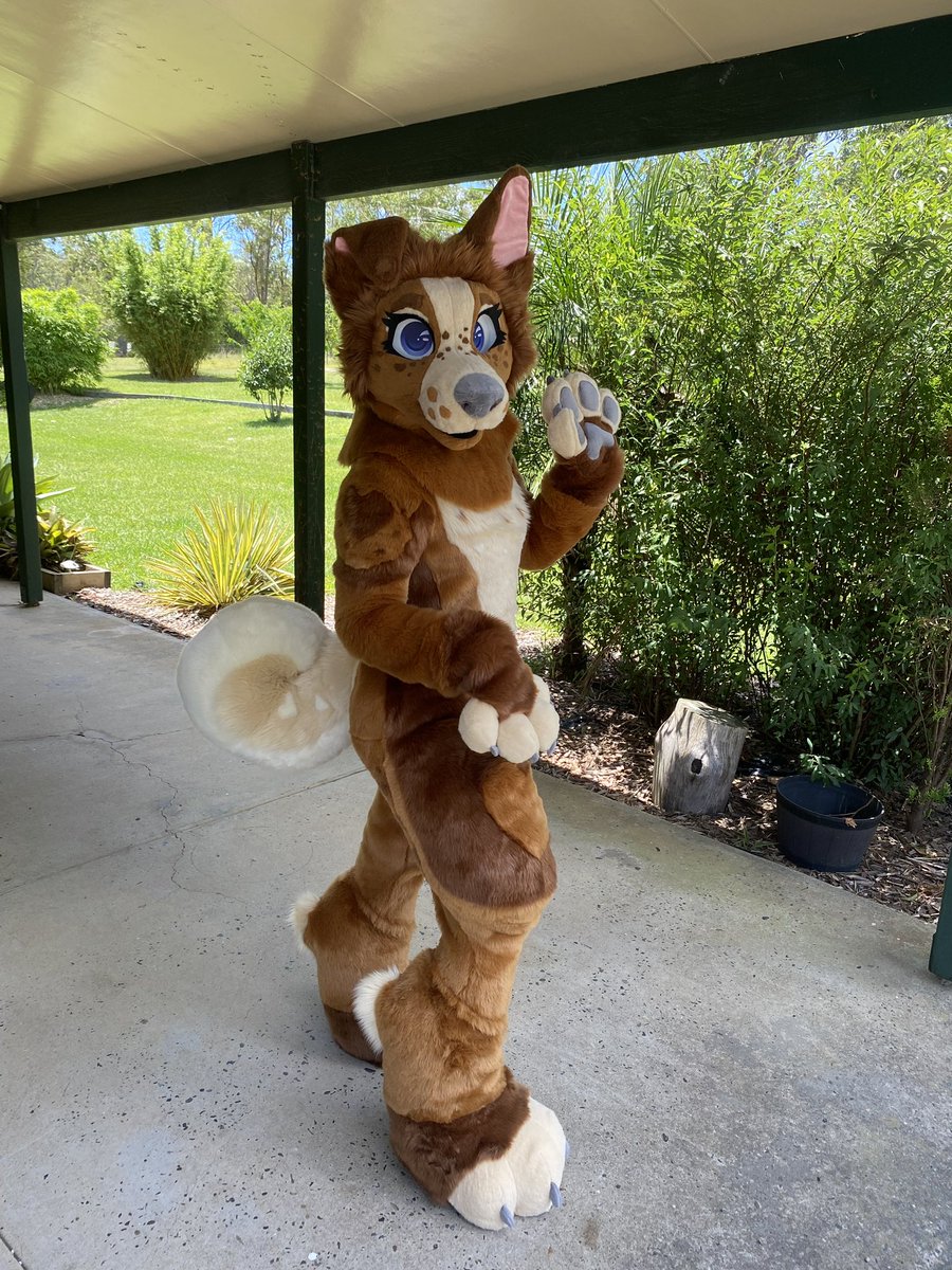 ⭐️COMMISSION COMPLETE⭐️

Introducing Maggie the Border Collie! 🐶🩷🤎

Maggie is a full Digitigrade suit featuring:
• Zip on feetpaws 
• Zip on tail 
• Sewn in Zip padding 
• 2 eyelid pairs 

📸: @/Maggiethebcollie on Insta
