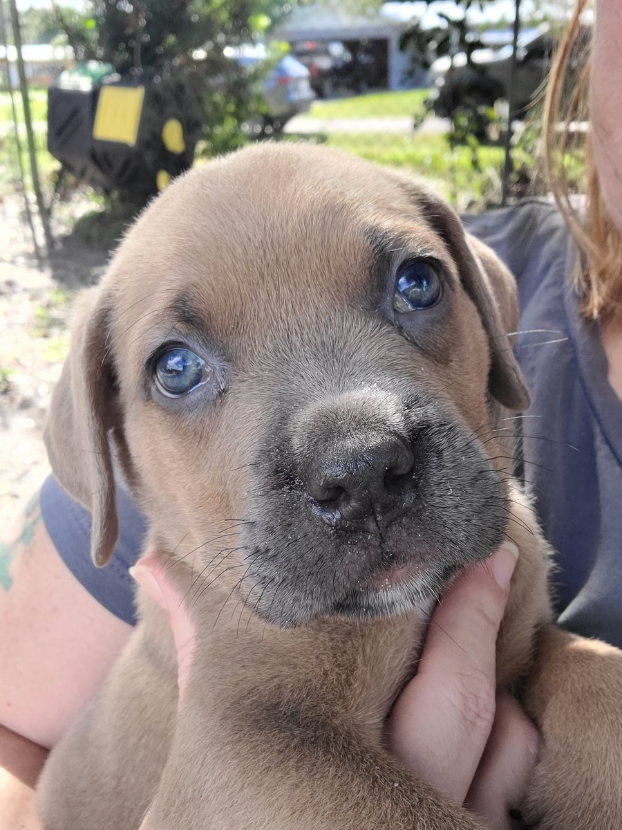 Hustlin' for a Homestead 🍀❤🤠❤🇺🇲❤🎣 tweet media