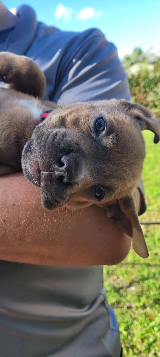 Hustlin' for a Homestead 🍀❤🤠❤🇺🇲❤🎣 tweet media