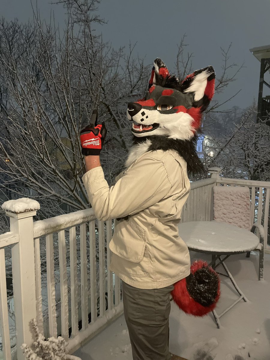 Kerberuss tweet media