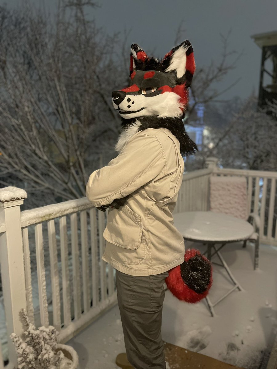 Kerberuss tweet media