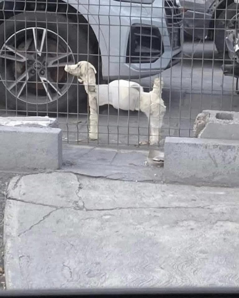 Aquí se cometa con fotos de sus medidores cubiertos para el frío.