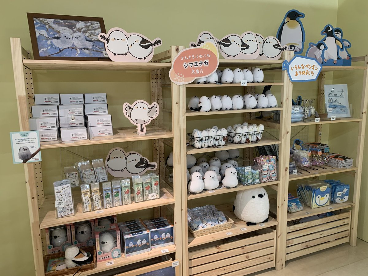 シマエナガグッズ ※まとめ買いおすすめします 公式】特別展「鳥」 on X: 