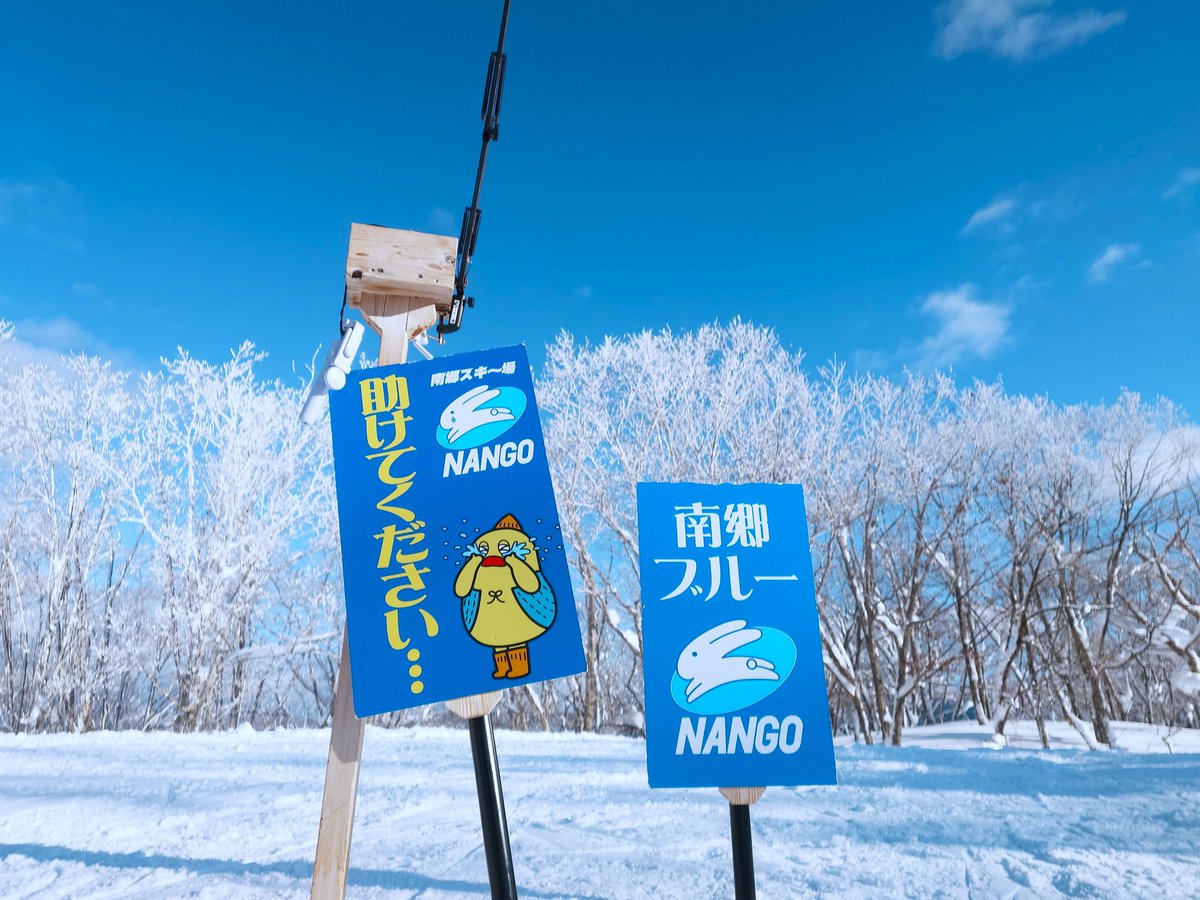 パウダースノーです！ パウダースノー