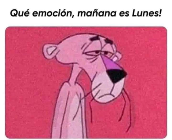 MemesSV7's tweet image. 