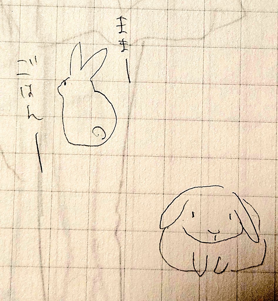 デカいスケブが必要で漁ったら大学生の頃のが出てきた。
端の落書きにうちのうさぎ達が生きてる😭😭😭 