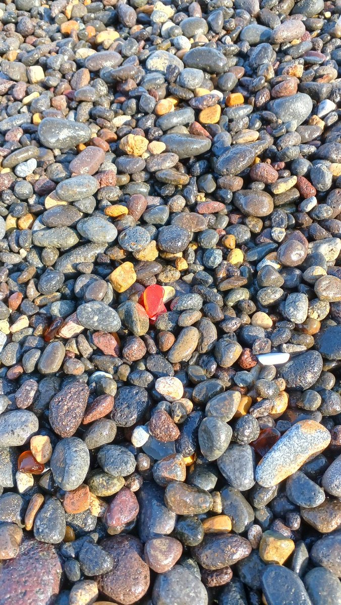 sosuke_seaglass's tweet photo. 冬場は荒天続きで浜に行けてませんでしたが、久々に出掛けて赤いシーグラスをGET！う～ん、めんこい💓 https://t.co/fDXDTBA2Mo