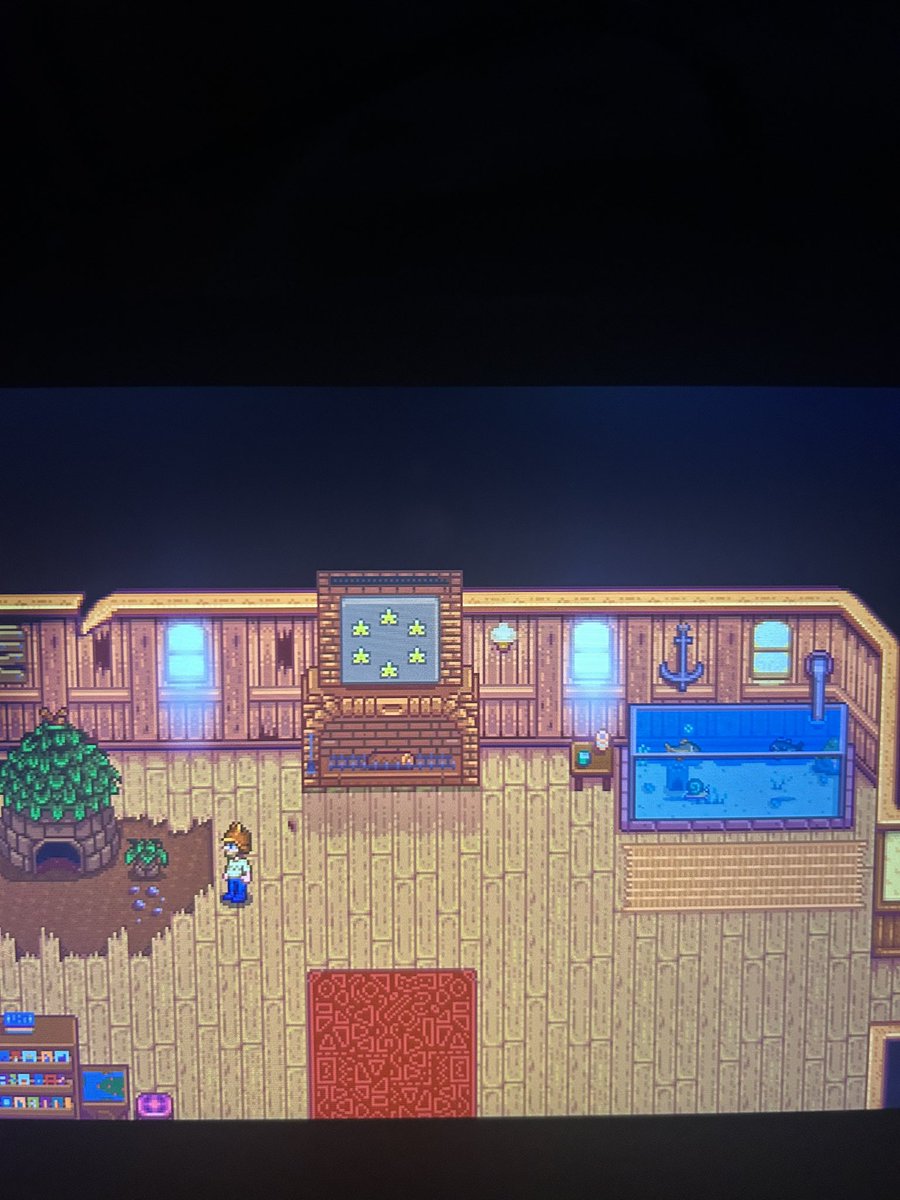 Casey Kreiter tweet media