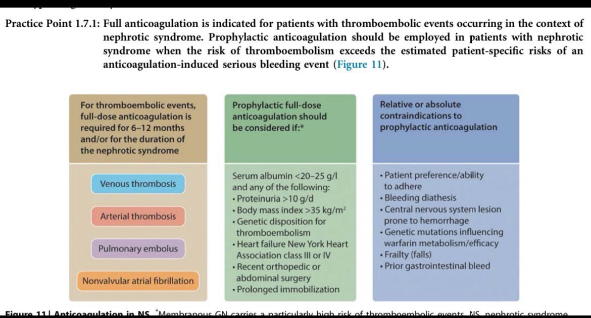 JasmineNephro's tweet photo. 💯🫘Indications of Prophylactic anticoagulation in nephrotic syndrome 

@goKDIGO guidelines https://t.co/nm2TjDQdmC