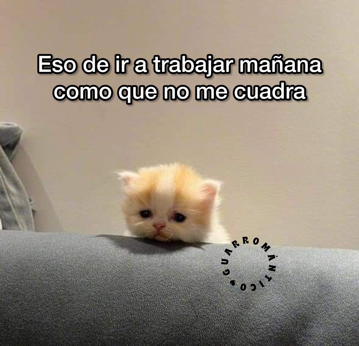 Guarromantico_'s tweet photo. No cuadra. https://t.co/nFw0RqoZIf