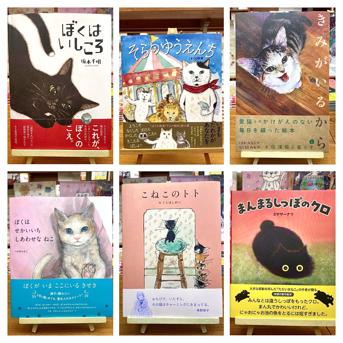 🐈大人の猫好きさんにオススメの “ねこ絵本”📚 紙版画で描き出すある黒