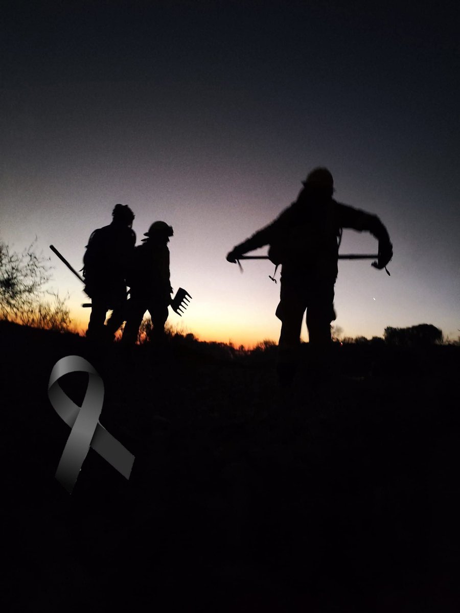 Valdes1224's tweet photo. Mis más sinceras condolencias y pesame a las familias de los 3 brigadistas de Serfonac fallecidos mientras combatían un IF en el sector de Los Sauces, Región de la Araucanía. https://t.co/A7Ja8TcsiK