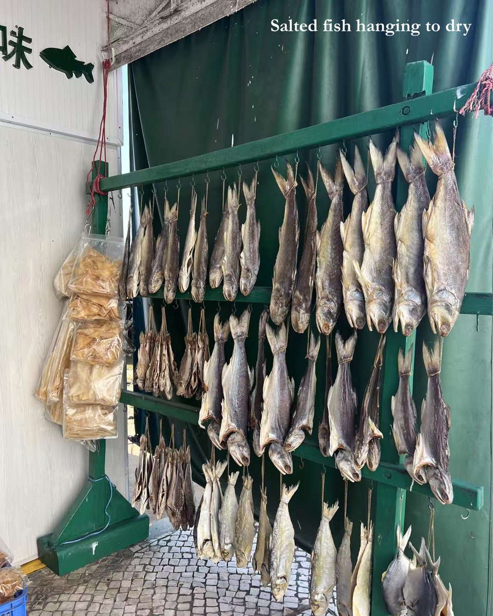 imperialtours's tweet photo. Amidst Macau's bustle lies a peaceful haven in Coloane, an old fishing village. The moment I arrived I was instantly soothed by its tranquility. Savoring Lord Stow's egg tarts, I wandered along the paths of the old village, with its charming local shops and rustic buildings. https://t.co/So08fGxVg9