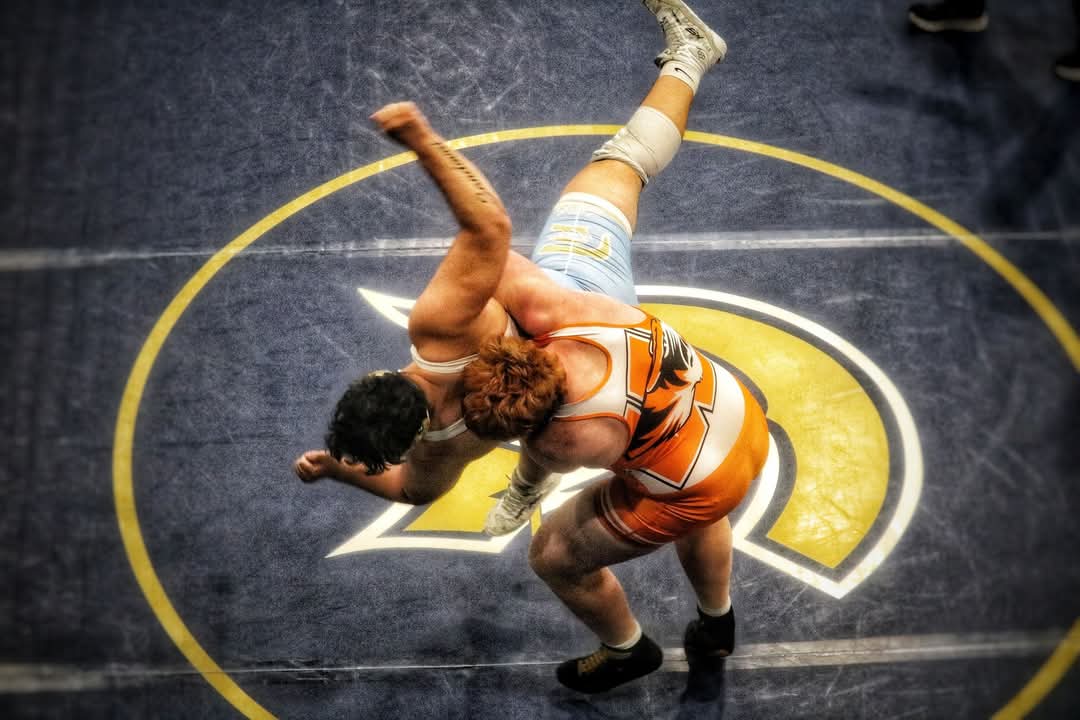 Stephen Linton tweet media