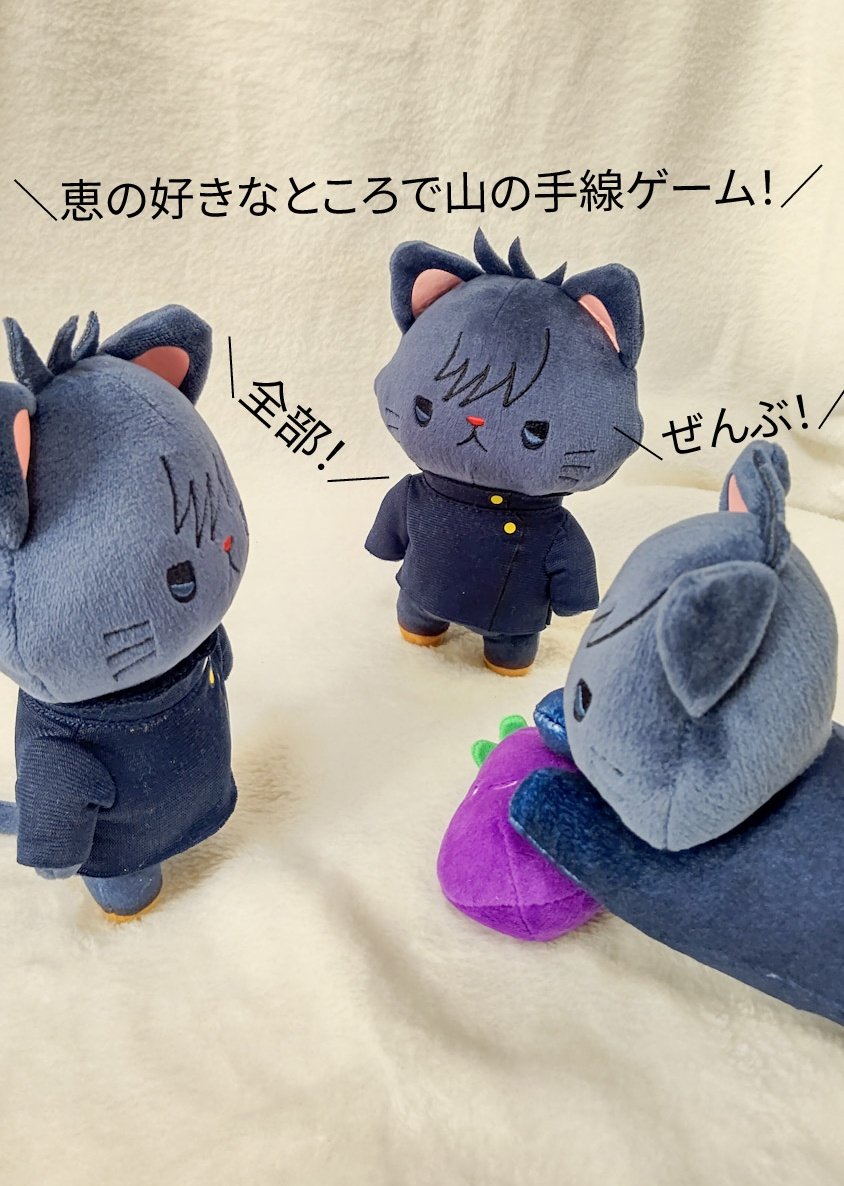 遊んでいるめぐにゃんさん達🐾