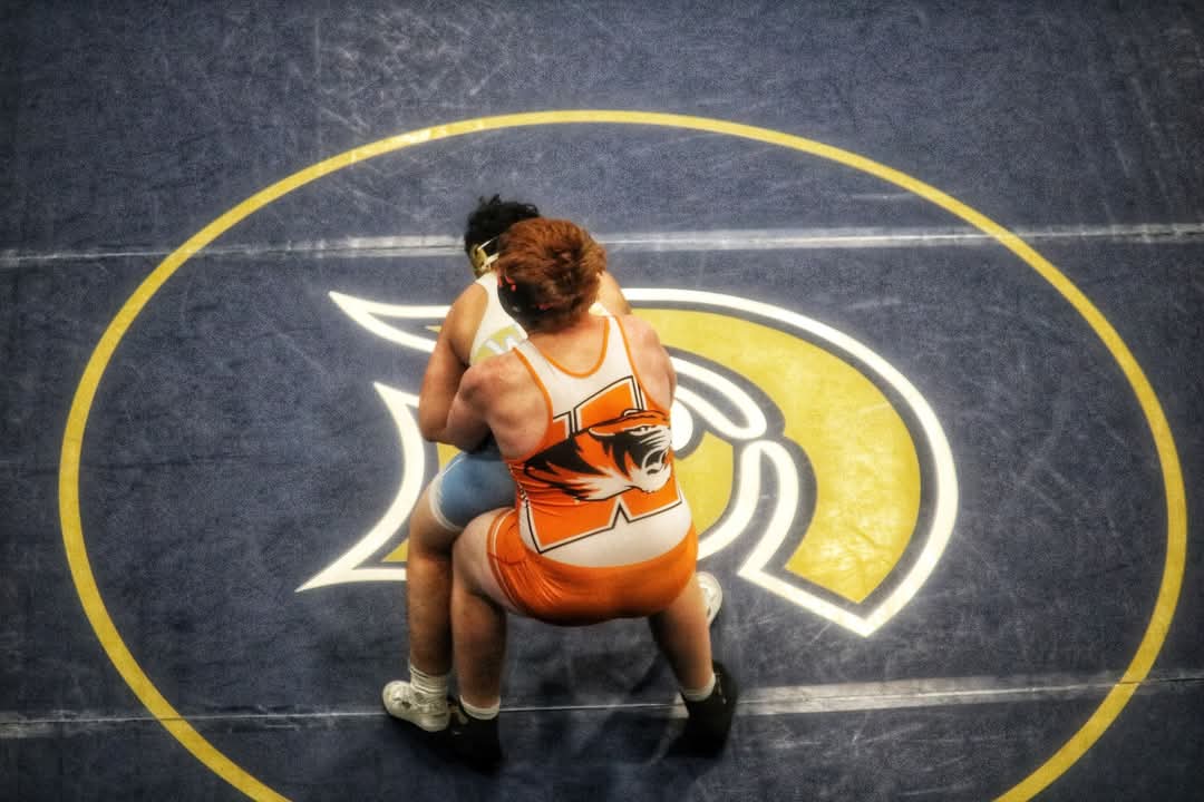 Stephen Linton tweet media