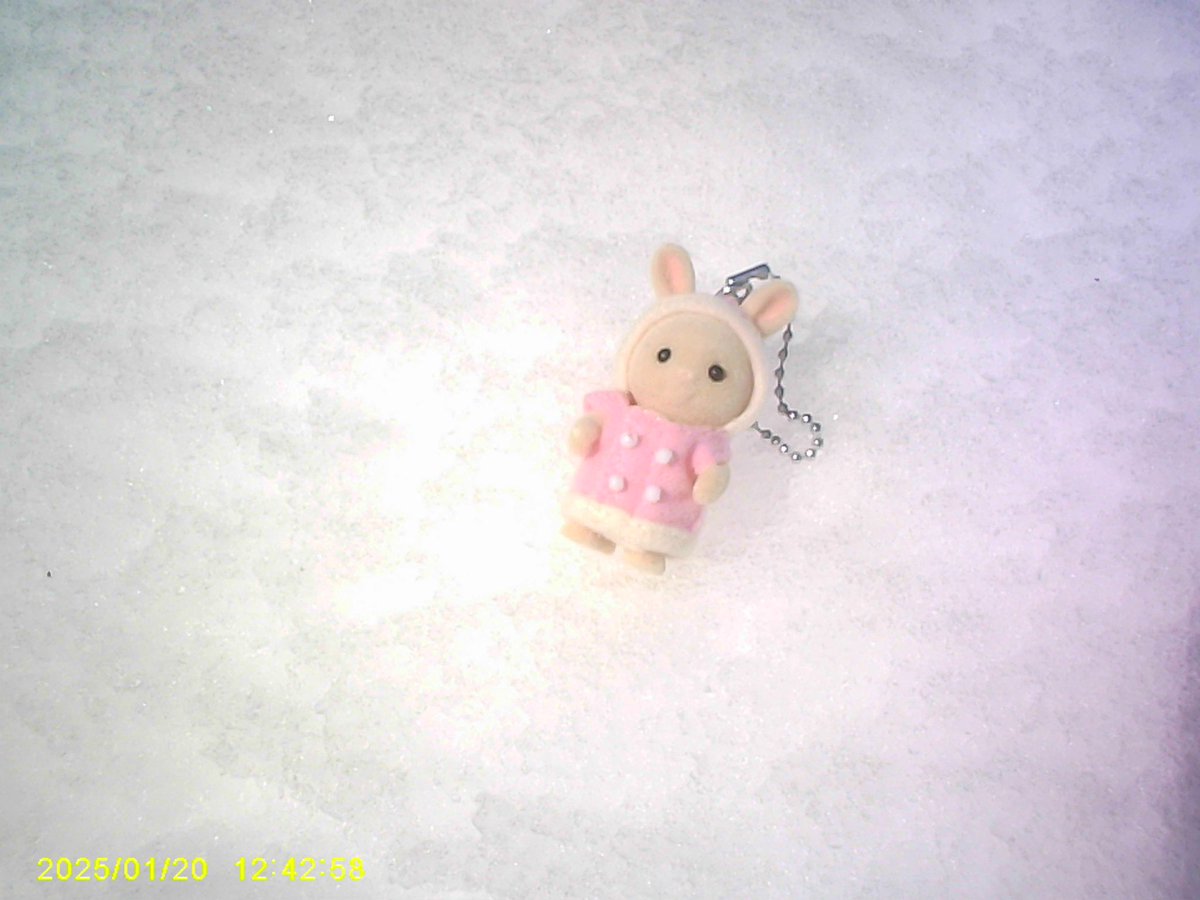 うぉた tweet media