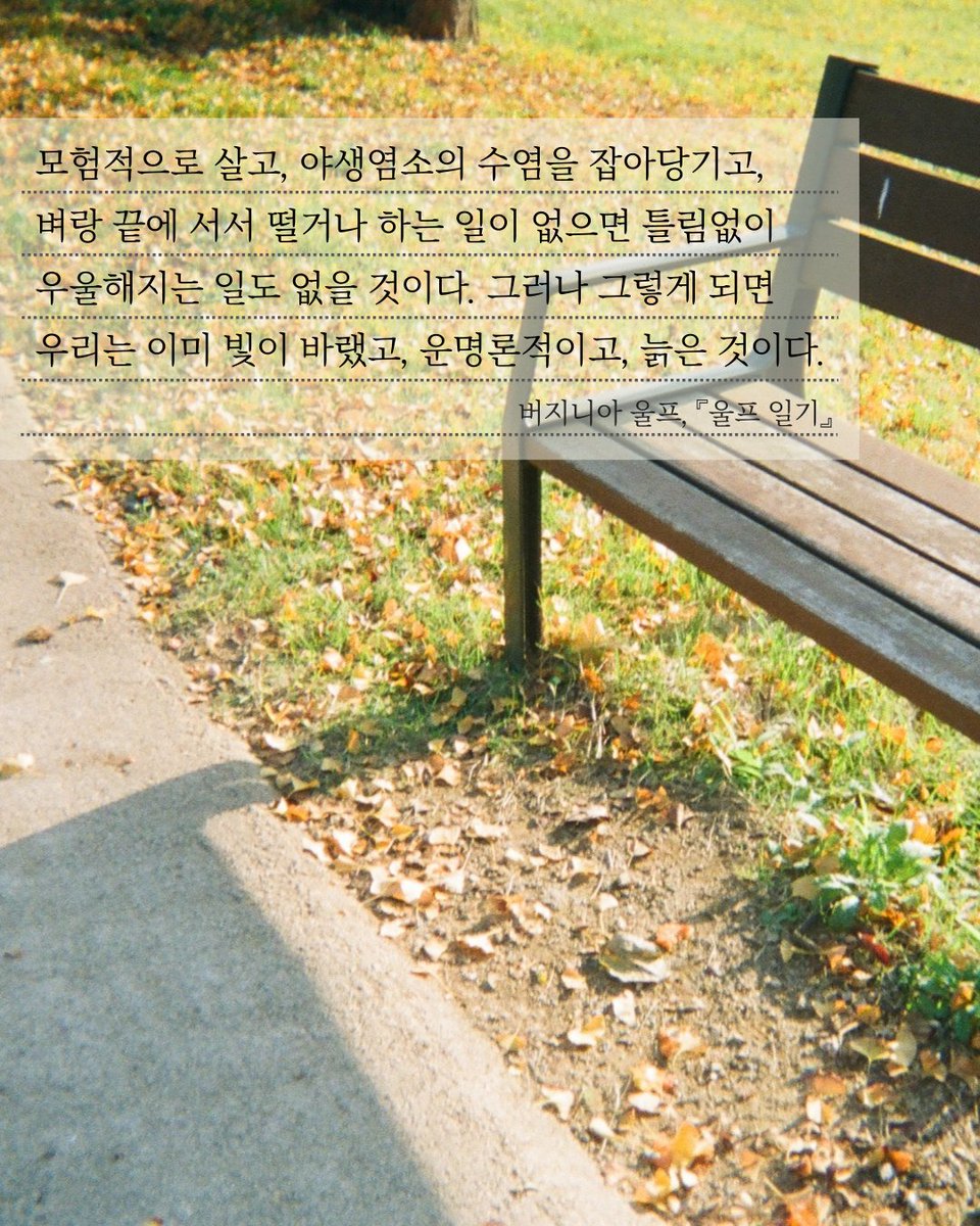 sol_book's tweet photo. #문장수업_1월20일
나를 깨우는 문장들

1️⃣ 
감정적 고통에도 불구하고 울프가 글쓰기에
얼마나 헌신적이고 성실했는지 엿보이는
버니지아 울프, 『울프 일기』

2️⃣
여동생 오틀라를 아끼고 응원하는
카프카의 애정이 선명히 느껴지는
프란츠 카프카, 『카프카의 엽서』 https://t.co/EXao7mviYy