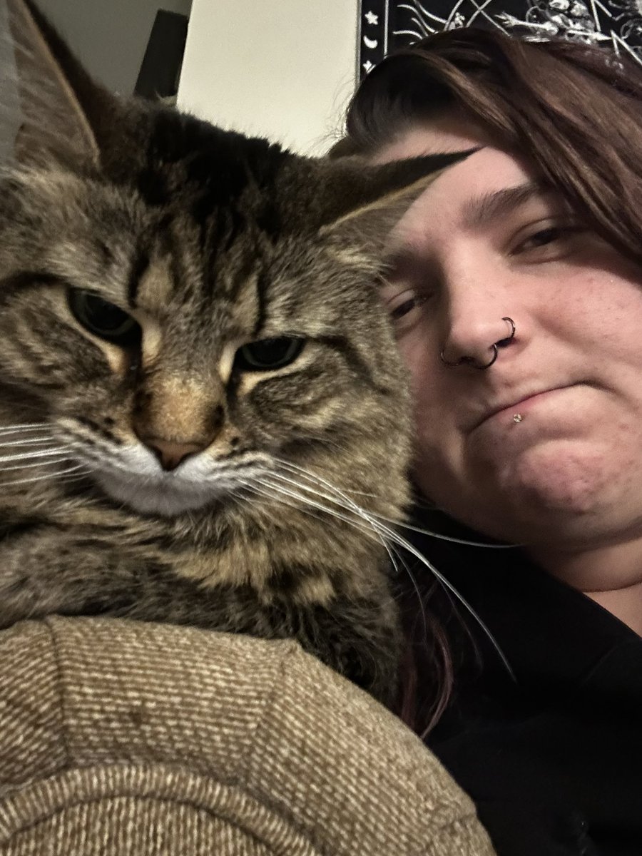 Amber tweet media