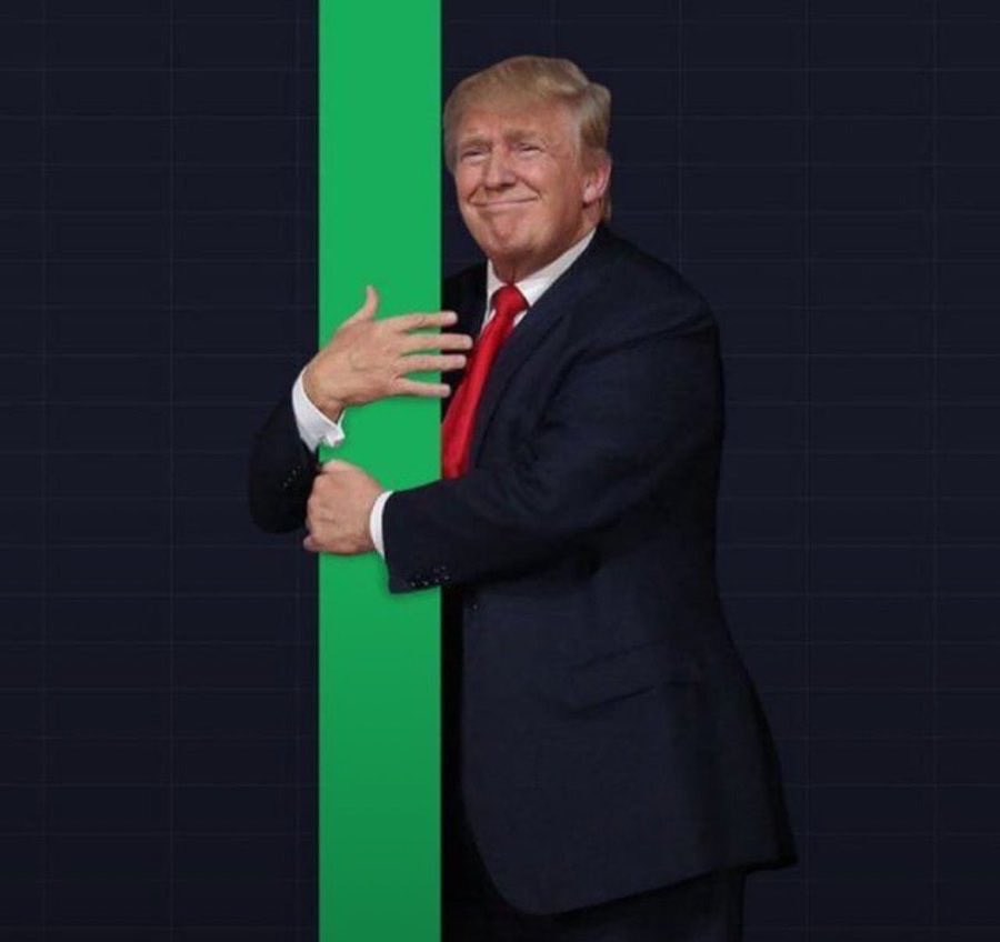 Kyle Chassé 🐸 tweet media