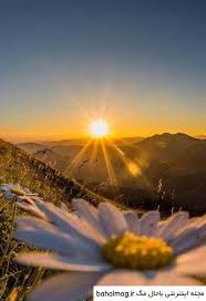 Anvaralhoda's tweet photo. صبحکم أللهُ بألسرور و ألنور و الأفراح
#صباح_الخیر https://t.co/8WJ3JXX9ZG