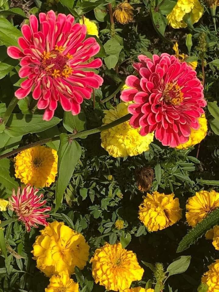 إلى الذين يتواجدون في صباحاتنا ،
فيزهر بهم النهار فرحاً .
سلاماً لهم من القلب والروح 
صباحكم كل شيء جميل يعانق أرواحكم.
                    #صباح_الأشياء_المُشرقة 
#صباح__الخيرِ 
#ارض_السعيده_للدعم 
#ارض_السعيده_للتبادل