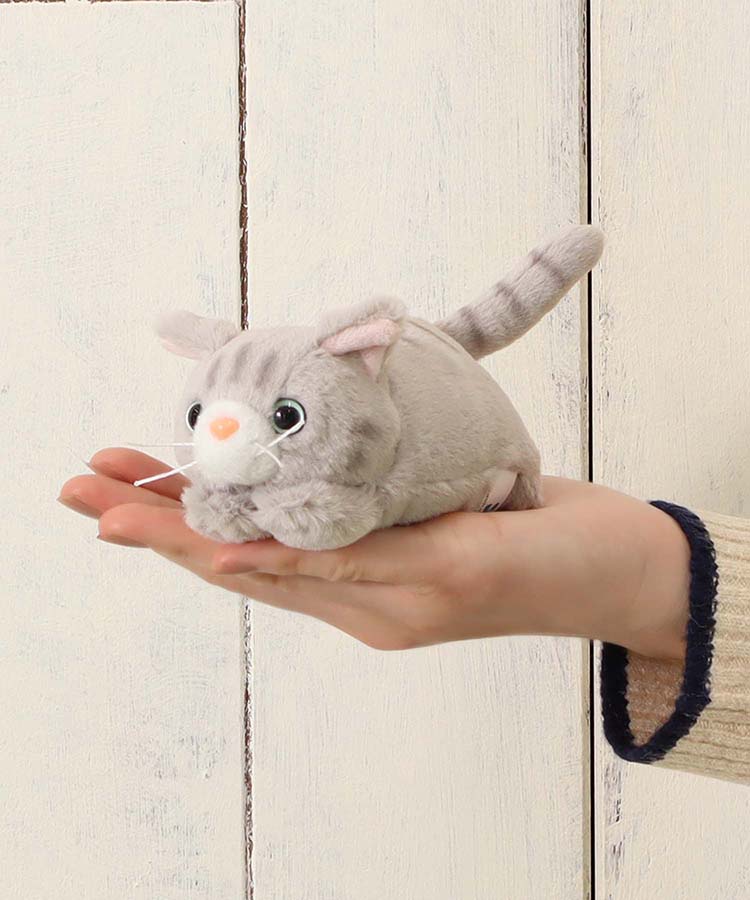 手のひらサイズのねこたち🐈🐾 ぬい撮りにもおすすめです！ 寝そべり